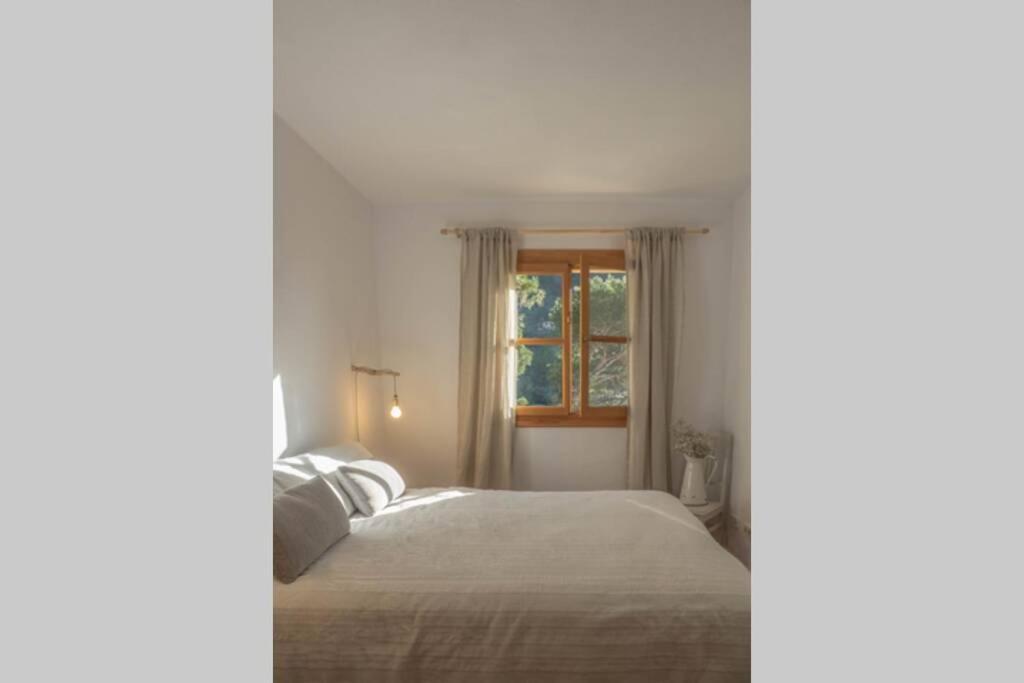 Casa Mistral, Un Paraiso De Mar Y Montana Valldemossa  Εξωτερικό φωτογραφία